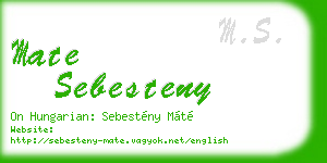 mate sebesteny business card