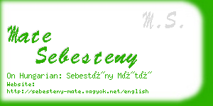 mate sebesteny business card